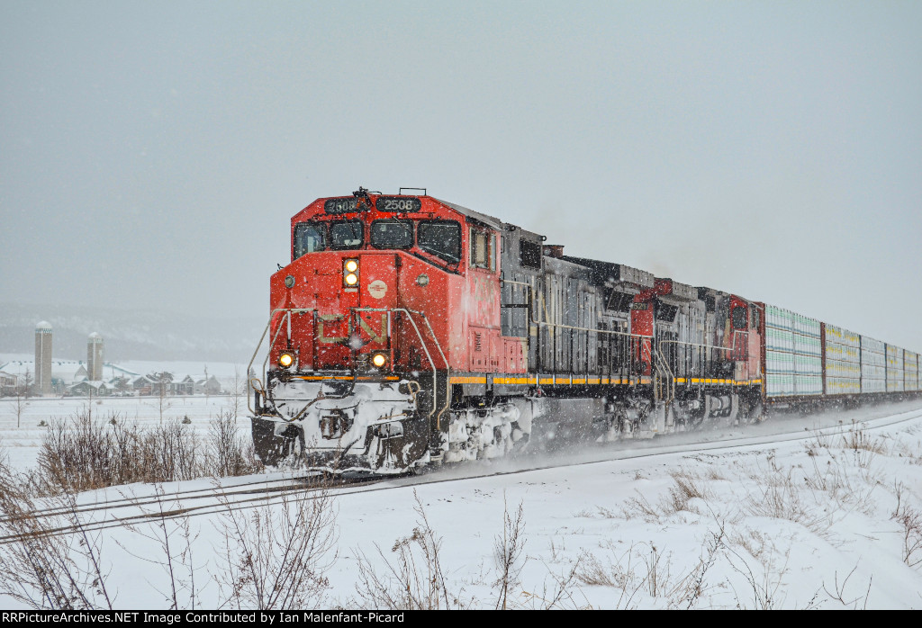 CN 2508